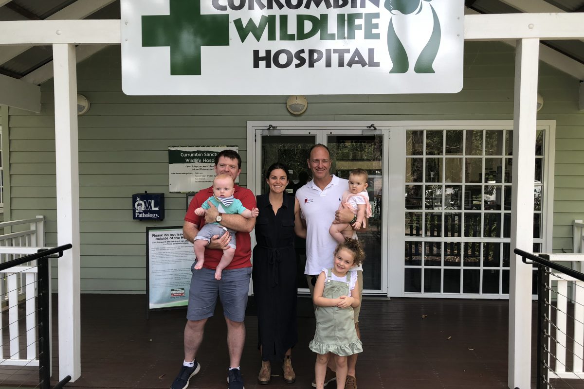 Currumbin Wildlife Hospital