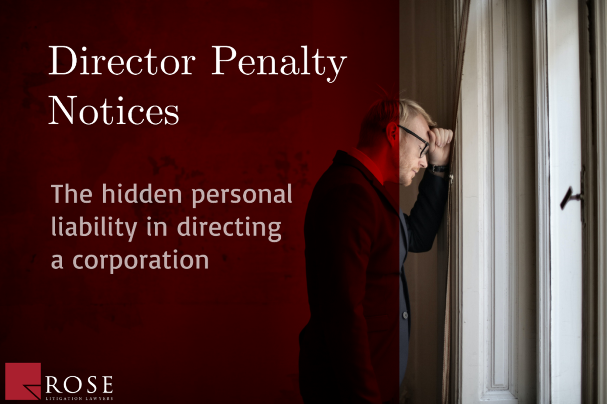 Director Penalty